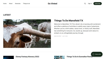 Go Vinted AI